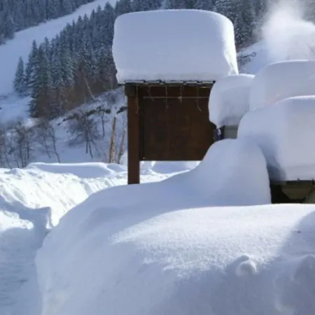 2 Pieces Au Pied Des Pistes Avec Balcon Et Casier A Skis - Fr-1-557-59 アパート *